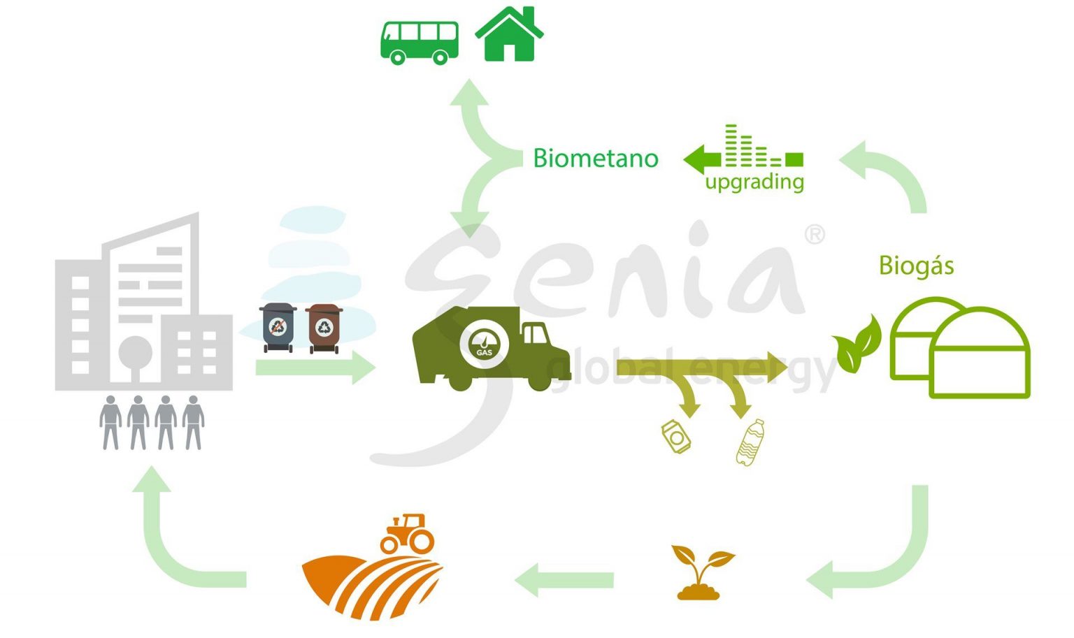 Genia Global Energy desarrolla el estudio para la valoración energética de la basura de Palma de Mallorca con un ahorro de 8 millones anuales