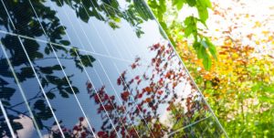 Buenas prácticas y sostenibilidad en los proyectos de solar fotovoltaica